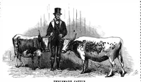 An illustration from Scientific American, Vol. 34, No. 15 (April 1876) (1876)