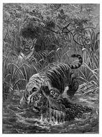 An illustration from Scientific American, Vol. 34, No. 15 (April 1876) (1876)