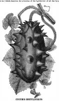 Picture 13 of 14 from Scientific American, Vol. 34, No. 16 (April 1876) (1876), leaf 8