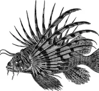 An illustration from Scientific American, Vol. 34, No. 17 (April 1876) (1876)