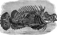 An illustration from Scientific American, Vol. 34, No. 17 (April 1876) (1876)