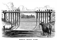 Picture 11 of 15 from Scientific American, Vol. 34, No. 18 (April 1876) (1876), leaf 7