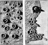 An illustration from Scientific American, Vol. 34, No. 20 (May 1876) (1876)