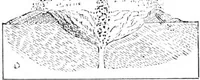 An illustration from Scientific American, Vol. 34, No. 20 (May 1876) (1876)