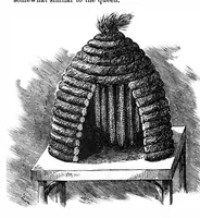Picture 6 of 11 from Scientific American, Vol. 35, No. 7 (August 1876) (1876), leaf 8