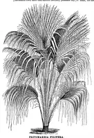 An illustration from Scientific American, Vol. 35, No. 8 (August 1876) (1876)
