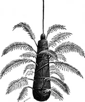 An illustration from Scientific American, Vol. 35, No. 9 (August 1876) (1876)