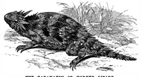 Picture 12 of 14 from Scientific American, Vol. 35, No. 10 (September 1876) (1876), leaf 10