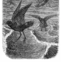 Picture 10 of 14 from Scientific American, Vol. 35, No. 10 (September 1876) (1876), leaf 8