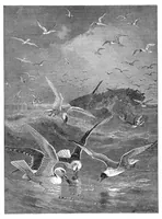 An illustration from Scientific American, Vol. 35, No. 16 (October 1876) (1876)