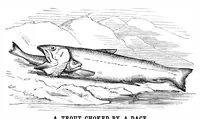 An illustration from Scientific American, Vol. 35, No. 17 (October 1876) (1876)