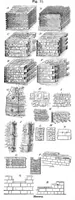 An illustration from Scientific American, Vol. 35, No. 24 (December 1876) (1876)