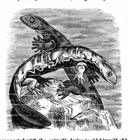An illustration from Scientific American, Vol. 35, No. 25 (December 1876) (1876)