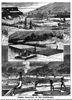 Picture 1 of 12 from Scientific American, Vol. 35, No. 26 (December 1876) (1876), leaf 0
