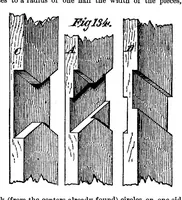 An illustration from Scientific American, Vol. 36, No. 3 (January 1877) (1877)