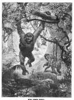An illustration from Scientific American, Vol. 36, No. 5 (February 1877) (1877)