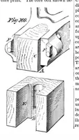 An illustration from Scientific American, Vol. 36, No. 13 (March 1877) (1877)