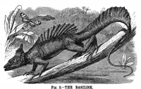 An illustration from Scientific American, Vol. 36, No. 14 (April 1877) (1877)