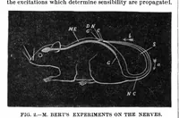 Picture 7 of 13 from Scientific American, Vol. 36, No. 15 (April 1877) (1877), leaf 4