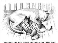 Picture 8 of 10 from Scientific American, Vol. 36, No. 19 (May 1877) (1877), leaf 8