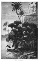 An illustration from Scientific American, Vol. 36, No. 20 (May 1877) (1877)