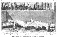 Picture 15 of 17 from Scientific American, Vol. 36, No. 21 (May 1877) (1877), leaf 9
