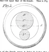 Picture 8 of 13 from Scientific American, Vol. 36, No. 24 (June 1877) (1877), leaf 6