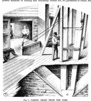 Picture 9 of 15 from Scientific American, Vol. 36, No. 25 (June 1877) (1877), leaf 7