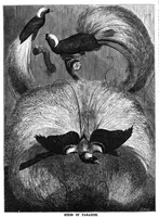 Picture 10 of 13 from Scientific American, Vol. 37, No. 13 (September 1877) (1877), leaf 8