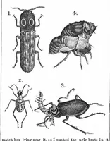 Picture 10 of 12 from Scientific American, Vol. 37, No. 14 (October 1877) (1877), leaf 8