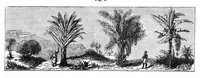 An illustration from Scientific American, Vol. 37, No. 23 (December 1877) (1877)