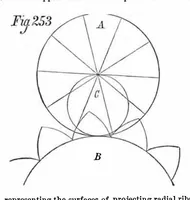An illustration from Scientific American, Vol. 37, No. 23 (December 1877) (1877)