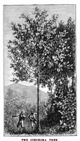 Picture 13 of 15 from Scientific American, Vol. 38, No. 3 (January 1878) (1878), leaf 8