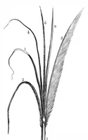 Picture 2 of 15 from Scientific American, Vol. 38, No. 4 (January 1878) (1878), leaf 3