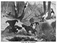 An illustration from Scientific American, Vol. 38, No. 10 (March 1878) (1878)