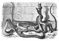An illustration from Scientific American, Vol. 38, No. 11 (March 1878) (1878)
