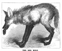 Picture 10 of 13 from Scientific American, Vol. 38, No. 12 (March 1878) (1878), leaf 8