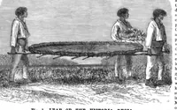 An illustration from Scientific American, Vol. 38, No. 16 (April 1878) (1878)