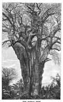 An illustration from Scientific American, Vol. 38, No. 17 (April 1878) (1878)
