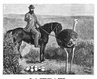 An illustration from Scientific American, Vol. 38, No. 19 (May 1878) (1878)