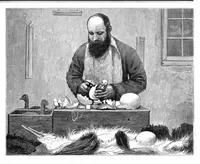 An illustration from Scientific American, Vol. 38, No. 19 (May 1878) (1878)