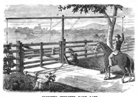 Picture 5 of 13 from Scientific American, Vol. 38, No. 21 (May 1878) (1878), leaf 7