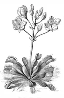 An illustration from Scientific American, Vol. 38, No. 24 (June 1878) (1878)
