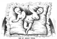 Picture 15 of 17 from Scientific American, Vol. 39, No. 2 (July 1878) (1878), leaf 9