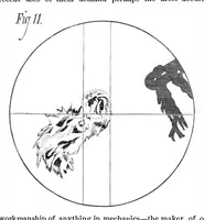 Picture 4 of 14 from Scientific American, Vol. 39, No. 6 (August 1878) (1878), leaf 2