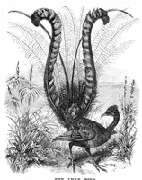 An illustration from Scientific American, Vol. 39, No. 7 (August 1878) (1878)