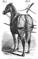 An illustration from Scientific American, Vol. 39, No. 9 (August 1878) (1878)