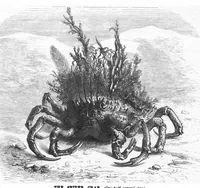 An illustration from Scientific American, Vol. 39, No. 10 (September 1878) (1878)