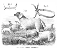 Picture 13 of 22 from Scientific American, Vol. 39, No. 11 (September 1878) (1878), leaf 7