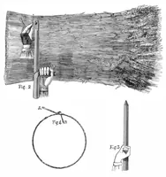 Picture 6 of 18 from Scientific American, Vol. 39, No. 12 (September 1878) (1878), leaf 4